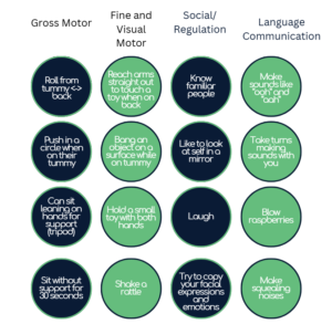 Good Beginnings Therapy developmental bingo card for 4 to 6 months covering movement, cognitive, social, and language milestones