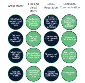 Good Beginnings Therapy developmental bingo card for 6 to 9 months covering movement, cognitive, social, and language milestones
