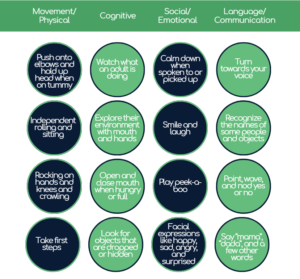 Good Beginnings Therapy developmental bingo card for the first year covering movement, cognitive, social, and language milestones