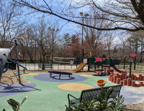 Sensory and Safety Playground Strategies: How to Have Fun without Stress